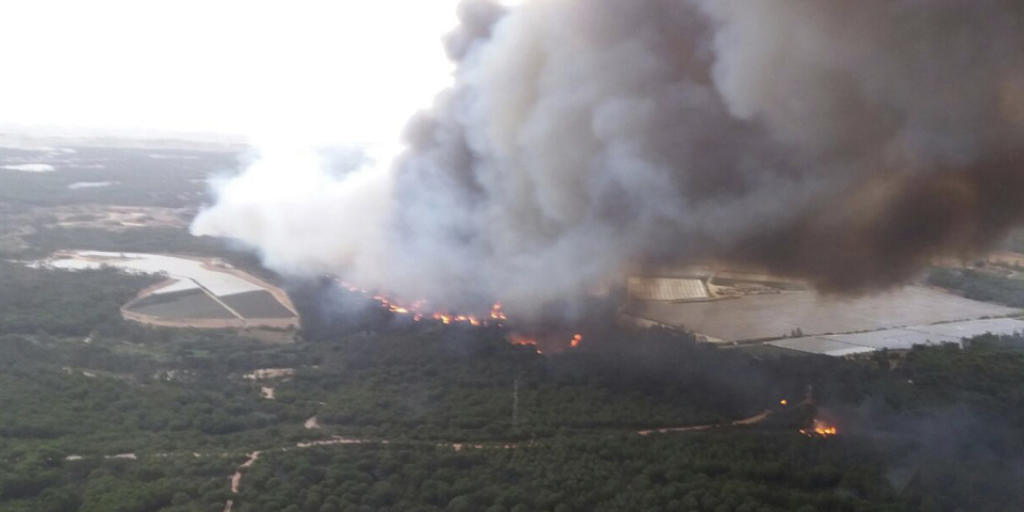 Ein Waldbrand bedroht den Nationalpark Doñana Nationalpark in Andalusien.