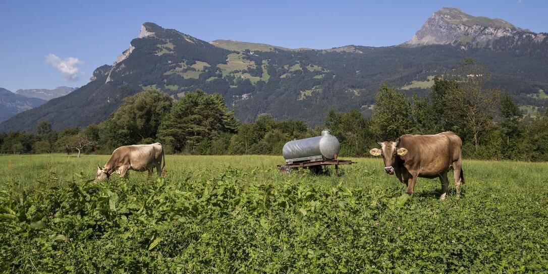 Landwirtschaft Liechtenstein 150822