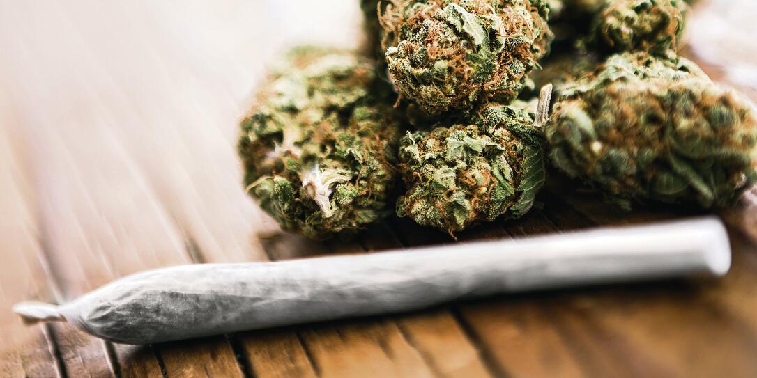 Medical cannabis joint on cannabis buds