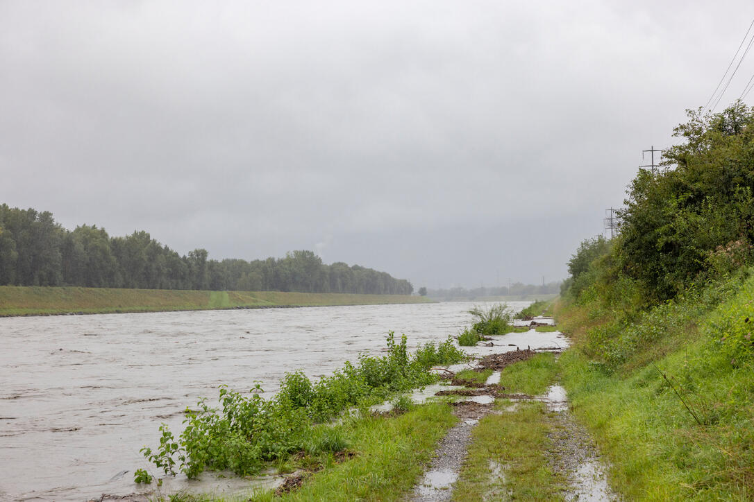 Hochwasser am Rhein