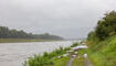 Hochwasser am Rhein