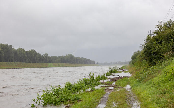 Hochwasser am Rhein