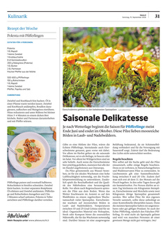 Seite 031 Seite 031