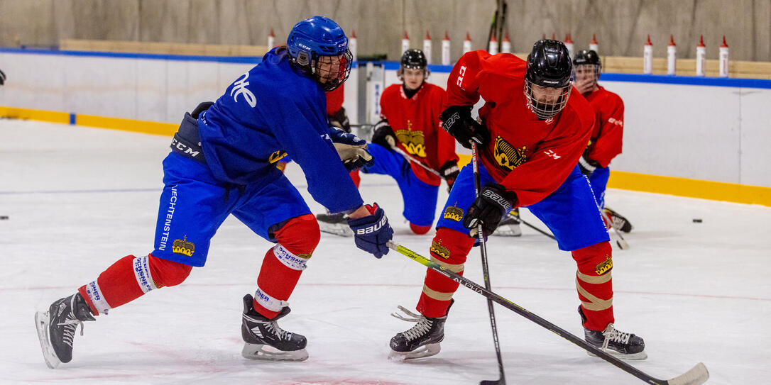 Training Eishockey-Nationalmannschaft