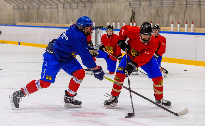 Training Eishockey-Nationalmannschaft