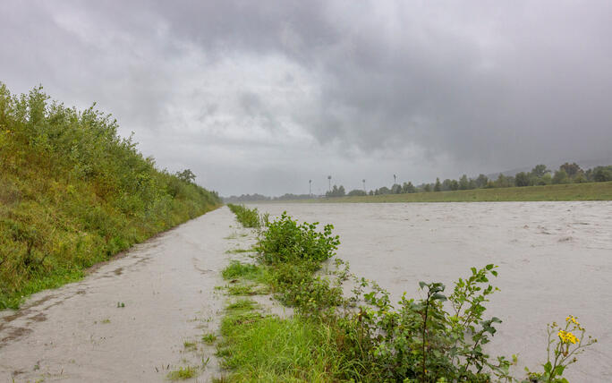 Hochwasser am Rhein