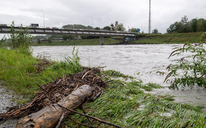 Hochwasser Rhein und Kanal
