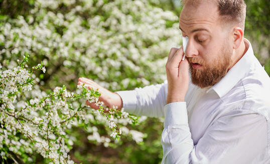 Man allergic suffering from seasonal allergy at spring, sneezing and blowing nose with handkerchief.