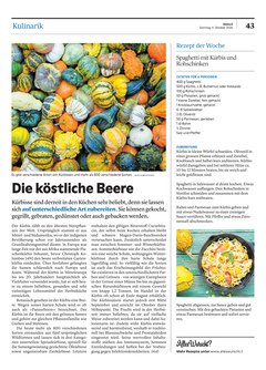 Seite 043