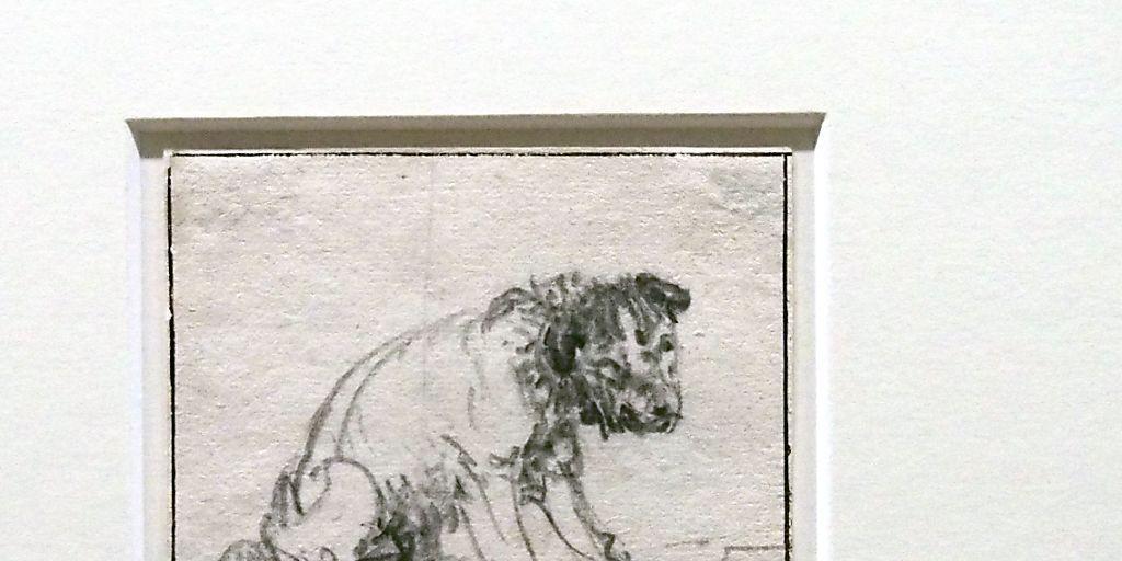 Im Herzog Anton Ulrich-Museum in Braunschweig ist eine Tierzeichnung entdeckt worden, die nach neuen Untersuchungen dem niederländischen Barock-Maler Rembrandt van Rijn (1606-1669) zugeordnet wird.