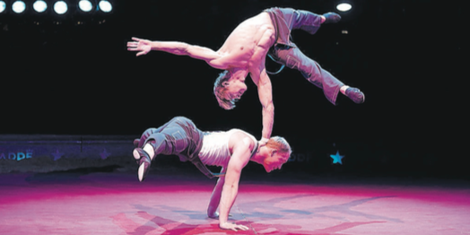 Circus Knie