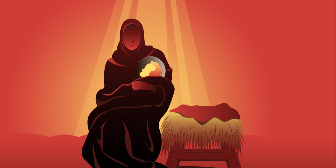 Weihnachtsstern Geschichte 26.12.