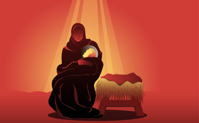 Weihnachtsstern Geschichte 26.12.