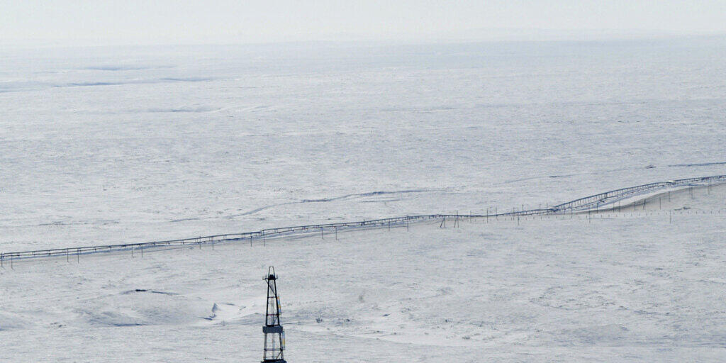 Opec drosselt Ölförderung (Archivild)