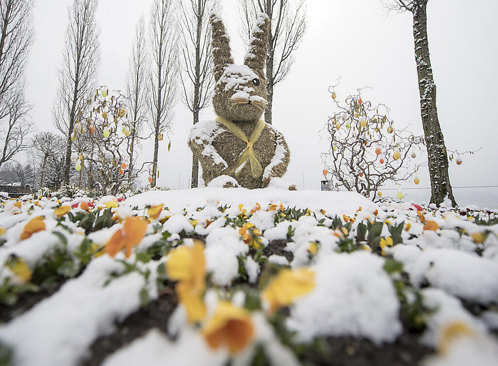 Auch der Stroh-Osterhase am Carl-Spitteler-Quai in Luzern muss noch etwas auf die wärmende Frühlingssonne warten - trotz Frühlingsbeginn. Auch der Stroh-Osterhase am Carl-Spitteler-Quai in Luzern muss noch etwas auf die wärmende Frühlingssonne warten - trotz Frühlingsbeginn.