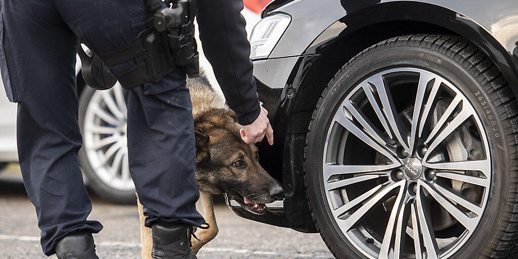 Sprengstoffspürhund "Arkan vom Haus Iten" der Zürcher Kantonspolizei überprüft den Auto-Konvoi, der den brasilianischen Präsidenten Jair Bolsonaro nach Davos ans WEF bringen soll.