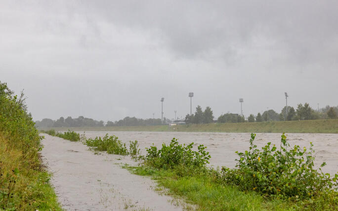 Hochwasser am Rhein