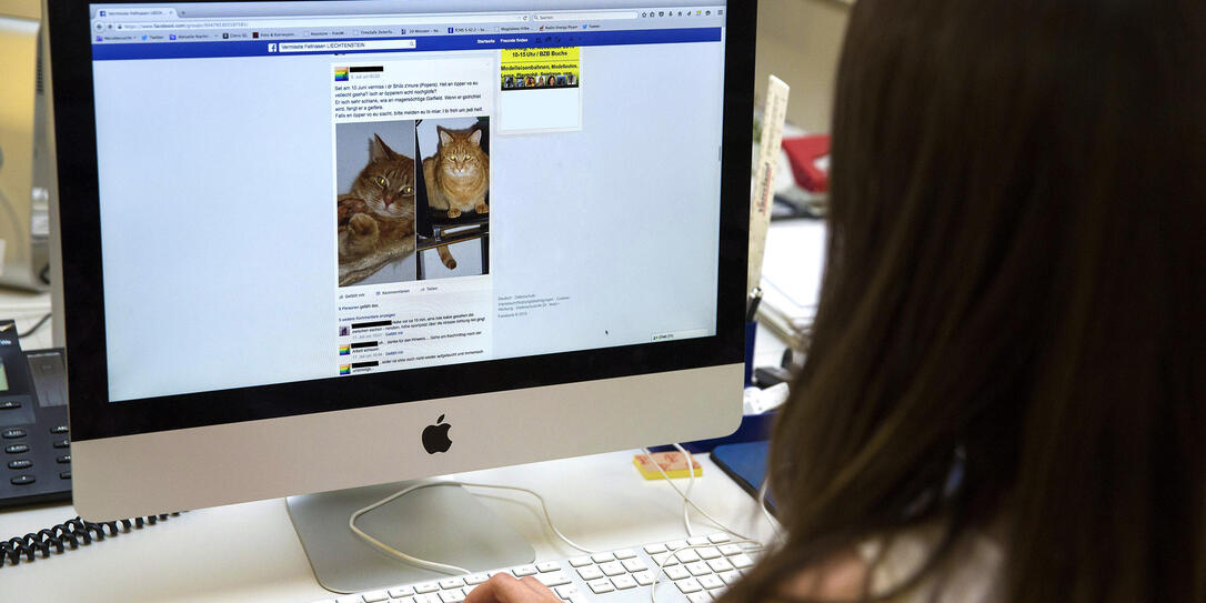 Facebookseite Fellnasen