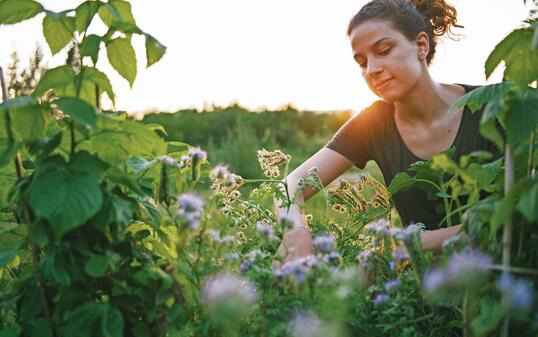 Young woman in organic urban gardening project at raised bed