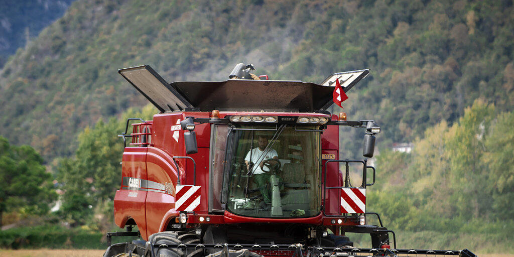 Schweizer Bauern sollen wettbewerbsfähiger werden, damit sie es mit der ausländischen Konkurrenz aufnehmen können. Laut Economiesuisse ist eine Lockerung des Grenzschutzes unausweichlich. (Symbolbild)