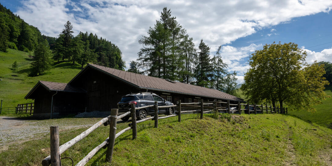 240605 #näherdran Balzers: Reportage auf der Alp Lida 240605 #näherdran Balzers: Reportage auf der Alp Lida