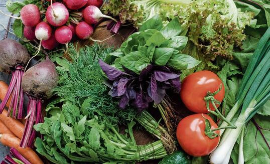 Background texture with assorted raw organic vegetables