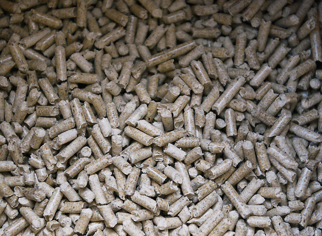 Aus solchen Holzpellets produziert das Biomasse-Blockheizkraftwerk im aargauischen Rheinfelden sowohl Strom und Wärme (Archiv). Aus solchen Holzpellets produziert das Biomasse-Blockheizkraftwerk im aargauischen Rheinfelden sowohl Strom und Wärme (Archiv).