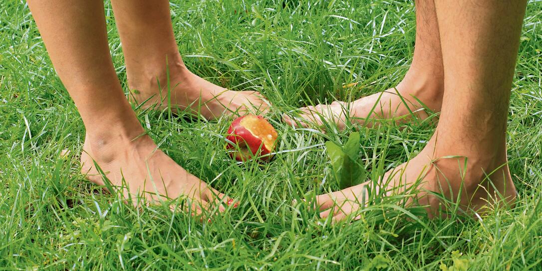 The Paradise and first sin