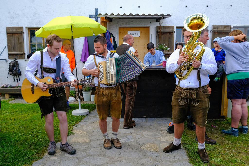 Schaan Alp Guschg Eringer Kuehe Schaan Alp Guschg Eringer Kuehe
