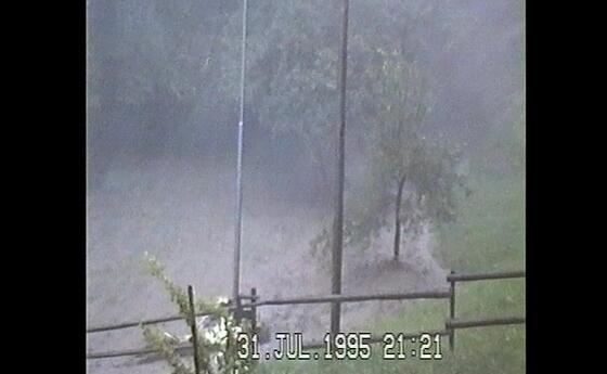 Rüfegang Sütigerwis 1995