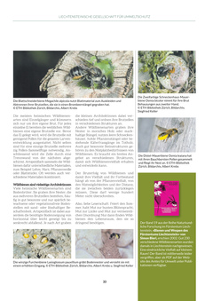 Seite 033 Seite 033