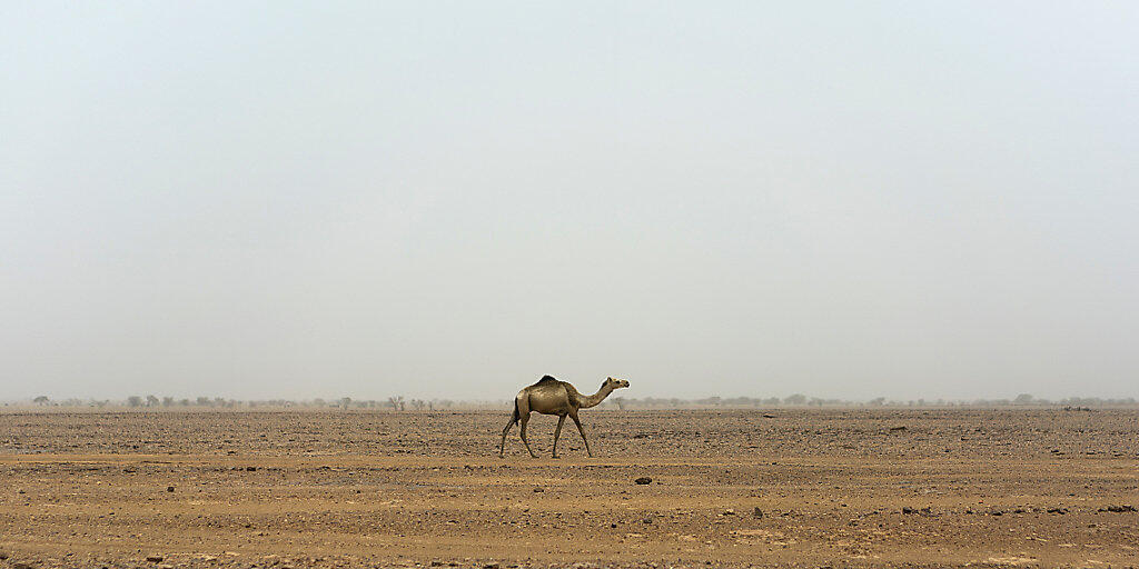 In der Sahara dauert es mehrere tausend Jahre bis sich das Regenwasser in tieferen Erdschichten als Grundwasser ansammelt. (Symbolbild)