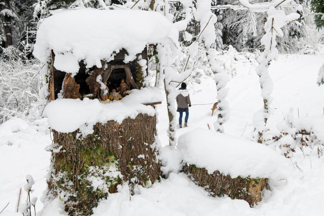 231204 Schaanwald: Erstmals ein Krippenweg im Wald. Eine Reportage