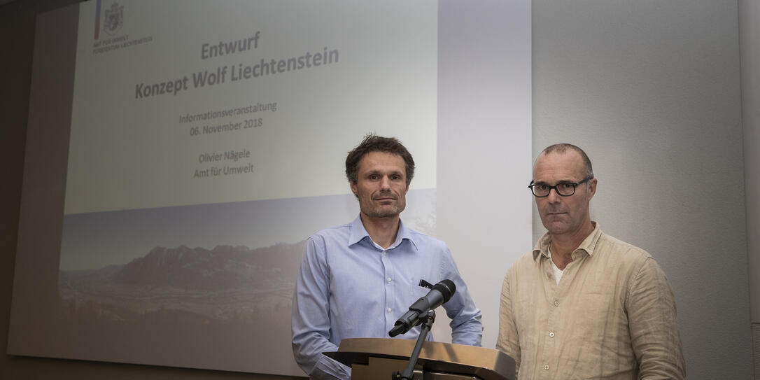 Konzept Wolf  in Vaduz