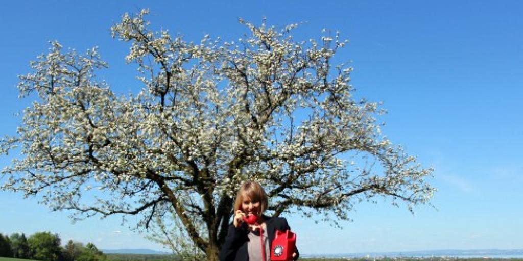 "Madame Bluescht" von Thurgau Tourismus gibt Auskunft über den Stand der Blütenknospen am Bodensee.