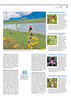 Seite 017 Seite 017