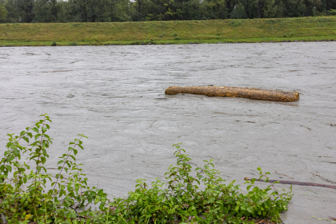 Hochwasser am Rhein
