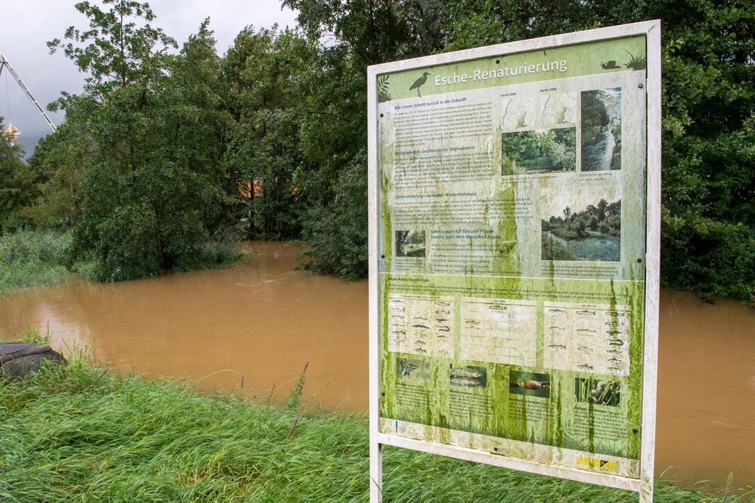 Hochwasser Rhein und Kanal
