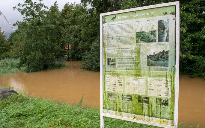 Hochwasser Rhein und Kanal