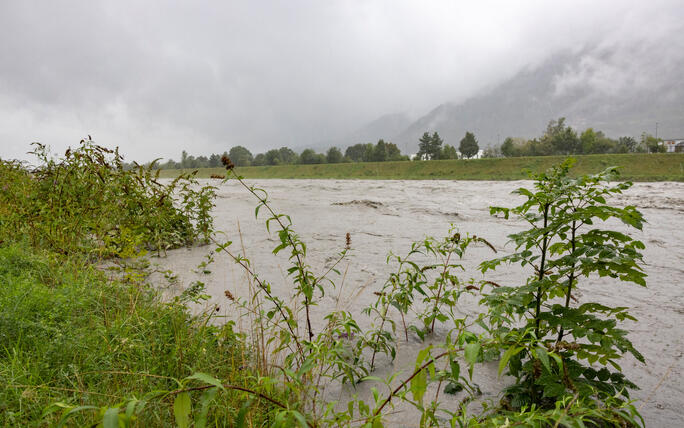 Hochwasser am Rhein