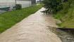 Hochwasser Rhein und Kanal (28.08.2023)