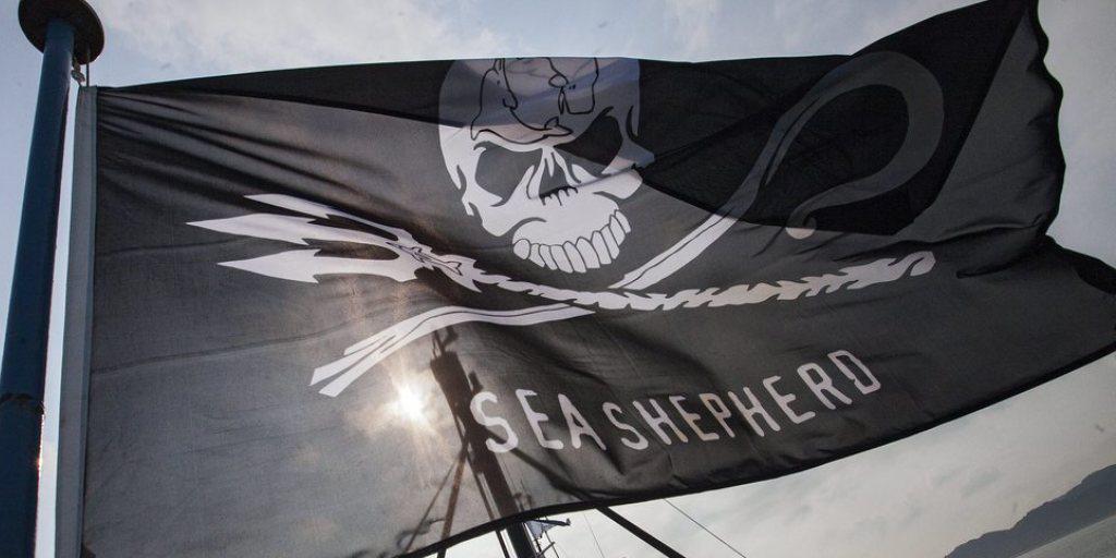 Die Flagge von Sea Shepherd weht auf ihrem Flaggschiff "Steve Irwin". (Archivbild)