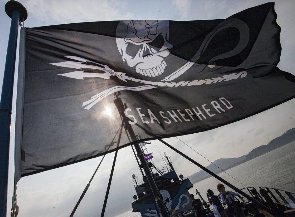 Die Flagge von Sea Shepherd weht auf ihrem Flaggschiff "Steve Irwin". (Archivbild) Die Flagge von Sea Shepherd weht auf ihrem Flaggschiff "Steve Irwin". (Archivbild)
