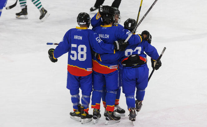 Eishockey: LIE - IRL, Füssen