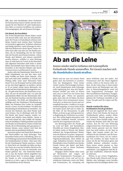 Seite 043