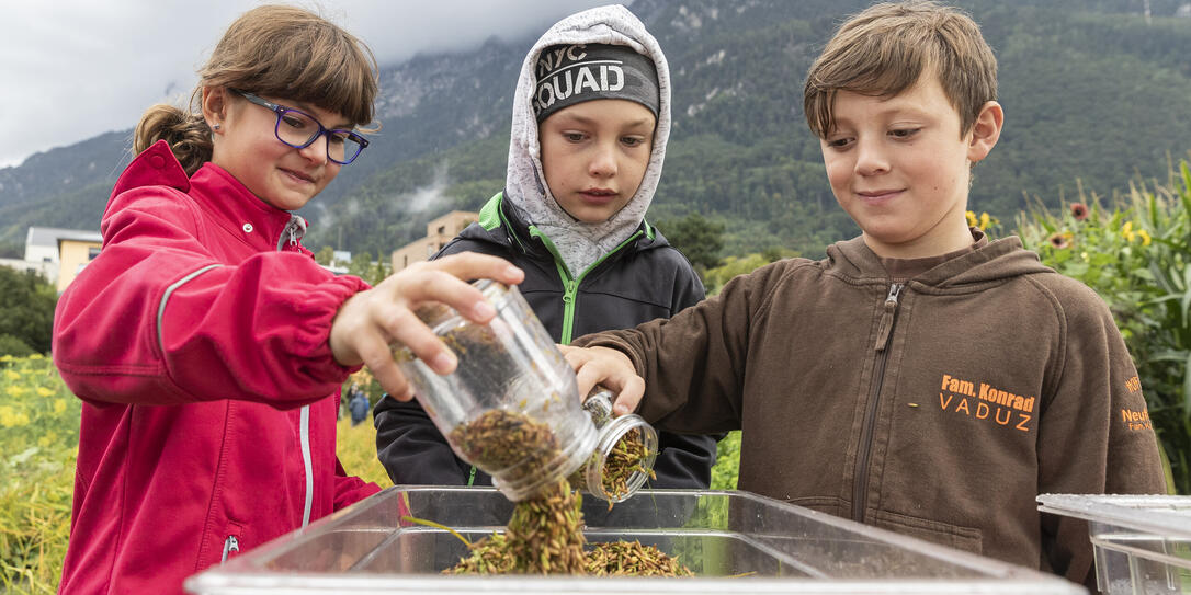 Weltacker Haberfeld in Vaduz