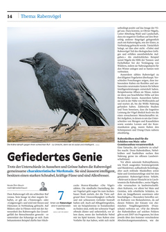Seite 014 Seite 014