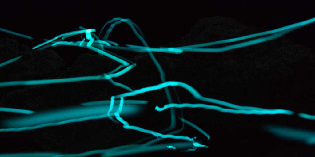 Diese abstrakte 3D-Zeichnung zeigt Leuchtspuren von Laternenfischen, die neu im Basler Zolli leben. So richtig zu sehen sind die lichtscheuen Tiere in der Dunkelheit jedoch nicht. Diese abstrakte 3D-Zeichnung zeigt Leuchtspuren von Laternenfischen, die neu im Basler Zolli leben. So richtig zu sehen sind die lichtscheuen Tiere in der Dunkelheit jedoch nicht.