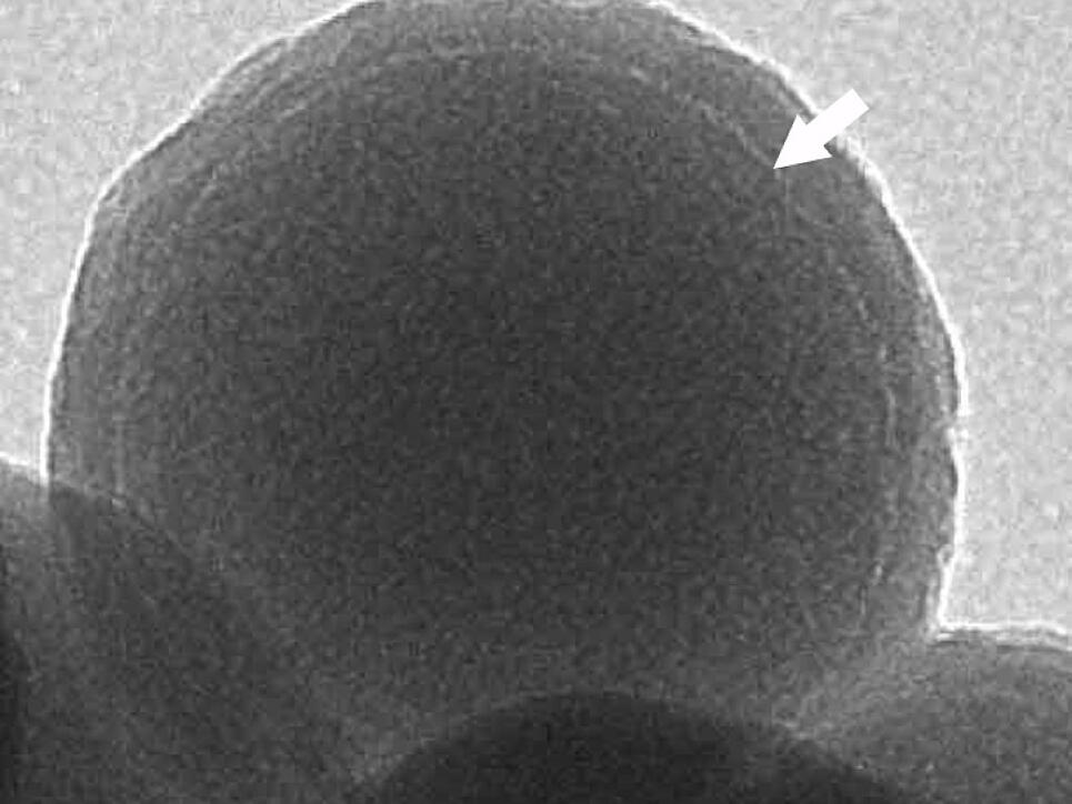 Ein Glaskügelchen von 160 Nanometern Durchmesser unter dem Mikroskop. In der hellen dünnen Schicht (Pfeil) liegen die DNA-Moleküle, welche die Audioinformation speichern.