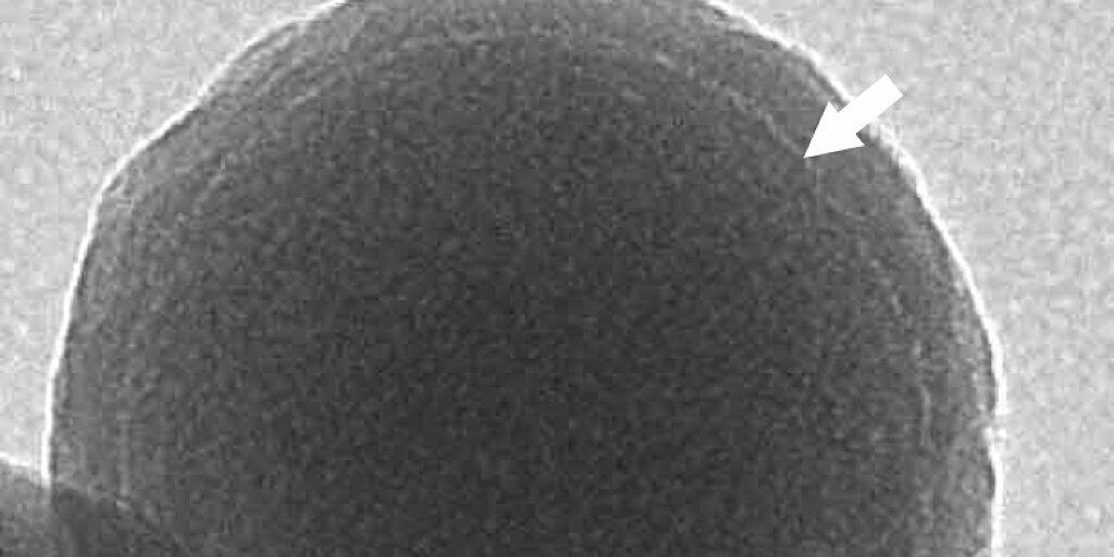 Ein Glaskügelchen von 160 Nanometern Durchmesser unter dem Mikroskop. In der hellen dünnen Schicht (Pfeil) liegen die DNA-Moleküle, welche die Audioinformation speichern.